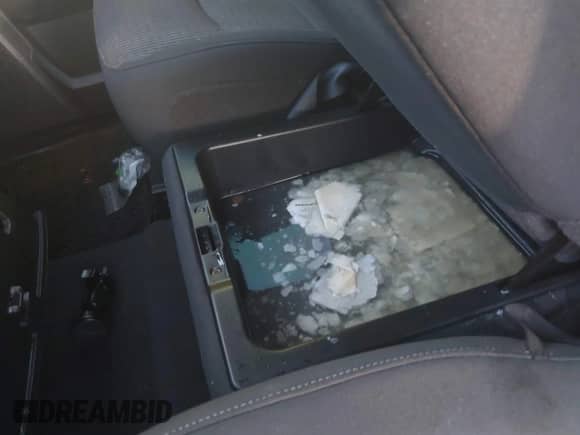 2009 Dodge 1500 SLT with VIN 1D3HB18T59S793404, listed as a IAAI auction lot 42686822 with Not provided miles and . Bid and sale history available at DreamBid. Image 14.