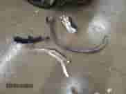 2024 Honda Passport Black Edition with VIN 5FNYF8H81RB018256, listed as a Copart auction lot 47196055 with 4,656 mi miles and Salvage title. Bid and sale history available at DreamBid. Image 13.