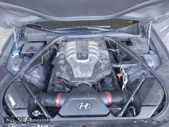 2015 Hyundai Genesis 5.0L with VIN KMHGN4JF8FU061202, listed as a IAAI auction lot 43021232 with 158,883 mi miles and . Bid and sale history available at DreamBid. Image 10.