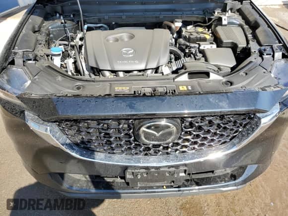 2025 Mazda CX-5 S Preferred with VIN JM3KFBCL1S0659577, listed as a Copart auction lot 80298015 with 4,125 mi miles and Salvage title. Bid and sale history available at DreamBid. Image 12.