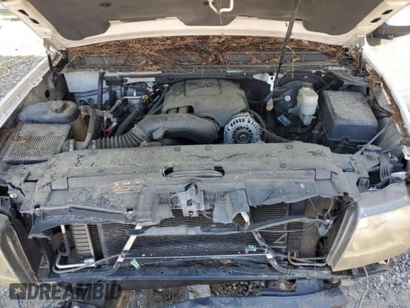 2007 Chevrolet Tahoe LS with VIN 1GNFC13037R163872, listed as a Copart auction lot 62405395 with Not provided miles and Salvage title. Bid and sale history available at DreamBid. Image 12.
