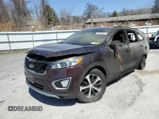 2016 Kia Sorento EX with VIN 5XYPHDA10GG044977, listed as a Copart auction lot 48550293 with Not provided miles and Salvage title. Bid and sale history available at DreamBid. Image 1.