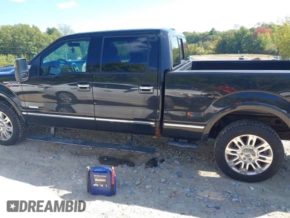 2012 Ford F-150 XL with VIN 1FTFW1ET3CFA76587, listed as a IAAI auction lot 43256825 with 139,668 mi miles and . Bid and sale history available at DreamBid. Image 14.