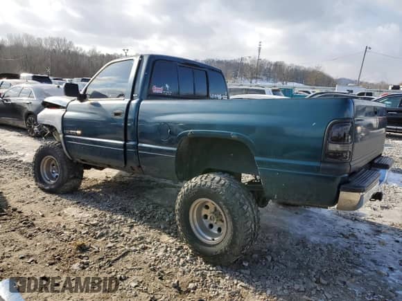 1995 Dodge 1500 with VIN 1B7HF16Y1SS365654, listed as a Copart auction lot 86808484 with 224,141 mi miles and Non repairable. Bid and sale history available at DreamBid. Image 2.