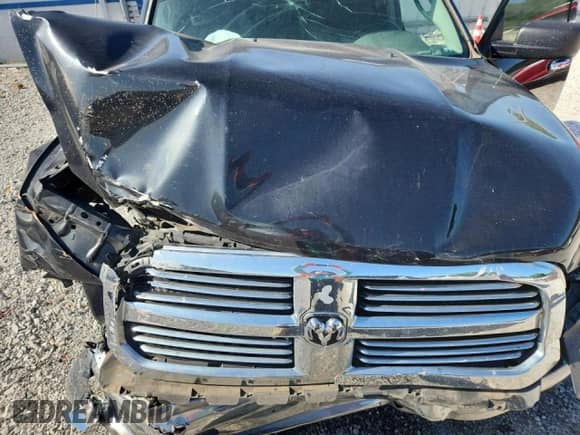 2016 Ram 1500 SLT with VIN 1C6RR6GT7GS332006, listed as a Copart auction lot 65651045 with 115,077 mi miles and Salvage title. Bid and sale history available at DreamBid. Image 11.