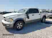 2011 Ram 1500 Outdoorsman with VIN 1D7RV1CT5BS541014, listed as a Copart auction lot 52820835 with 196,133 mi miles and Salvage title. Bid and sale history available at DreamBid. Image 1.