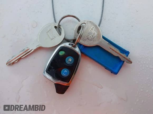 1999 Jeep Wrangler SE with VIN 1J4FY29P2XP461923, listed as a IAAI auction lot 43591392 with 198,022 mi miles and . Bid and sale history available at DreamBid. Image 11.