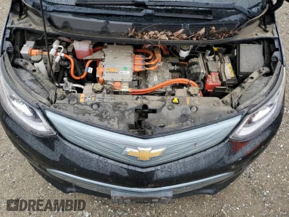 2017 Chevrolet Bolt EV Premier z VIN 1G1FX6S08H4144866, wystawiony jako Copart lot #84294815 z przebiegiem 100 573 mil mil oraz Szkoda całkowita • Salvage title. Historia ofert i sprzedaży dostępna na DreamBid. Obrazek 11.