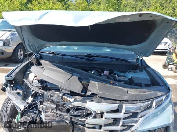 2022 Hyundai Santa Cruz SEL Premium с VIN 5NTJDDAF0NH029223, выставлен на аукционе IAAI как лот 42897633 с пробегом 18 584 миль миль и . История ставок и продаж доступна на DreamBid. Изображение 10.