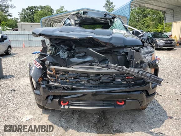 2024 Chevrolet Silverado 1500 Custom Trail Boss with VIN 3GCPDCEK9RG328282, listed as a Copart auction lot 59040895 with Not provided miles and Salvage title. Bid and sale history available at DreamBid. Image 5.