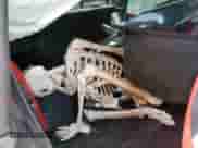 2017 BMW 4 Series 440i with VIN WBA4P1C34HK522698, listed as a Copart auction lot 61084955 with Not provided miles and Salvage title. Bid and sale history available at DreamBid. Image 10.