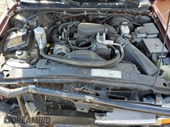 1998 Chevrolet Blazer LS z VIN 1GNDT13W7W2185828, wystawiony jako Copart lot #69774115 z przebiegiem 185 464 mil mil oraz Czysty tytuł • Clean title. Historia ofert i sprzedaży dostępna na DreamBid. Obrazek 12.