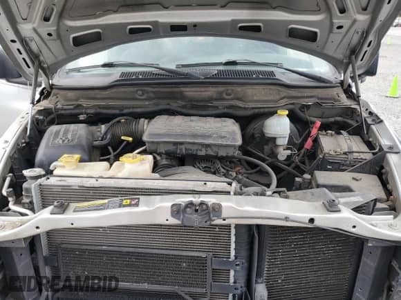2005 Dodge 1500 ST with VIN 1D7HA16K35J551173, listed as a Copart auction lot 69730475 with 221,914 mi miles and Salvage title. Bid and sale history available at DreamBid. Image 11.
