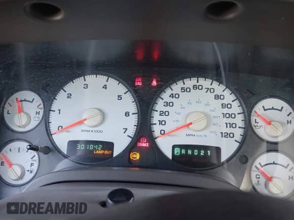 2002 Dodge 1500 z VIN 1D7HA16N42J251583, wystawiony jako IAAI lot #43061478 z przebiegiem 301 842 mil mil oraz . Historia ofert i sprzedaży dostępna na DreamBid. Obrazek 7.