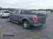 2010 Ford F-150 XL with VIN 1FTEX1C81AFC76209, listed as a IAAI auction lot 43378453 with 116,955 mi miles and . Bid and sale history available at DreamBid. Image 3.