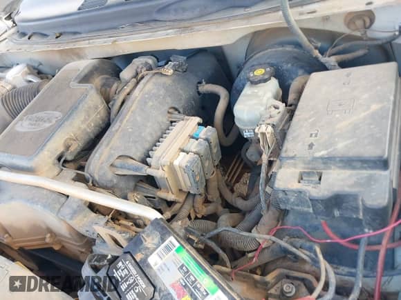 2003 Chevrolet TrailBlazer LS with VIN 1GNDS13S432389322, listed as a IAAI auction lot 41431482 with 298,917 mi miles and . Bid and sale history available at DreamBid. Image 10.