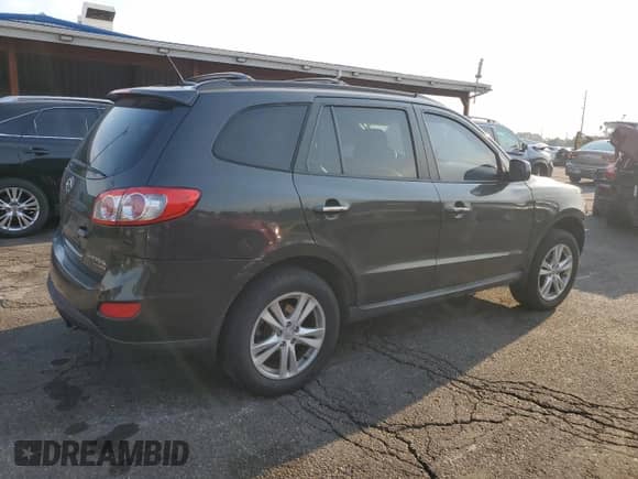 2010 Hyundai Santa Fe Limited with VIN 5NMSKDAG1AH386239, listed as a Copart auction lot 66294195 with 145,737 mi miles and Salvage title. Bid and sale history available at DreamBid. Image 3.