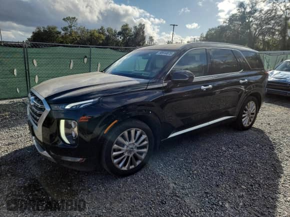 2020 Hyundai Palisade Limited with VIN KM8R5DHE6LU100418, listed as a Copart auction lot 90910875 with 115,928 mi miles and Clean title. Bid and sale history available at DreamBid. Image 1.