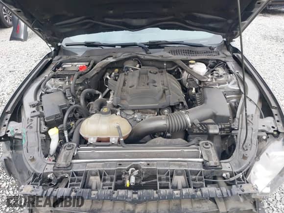 2018 Ford Mustang EcoBoost with VIN 1FA6P8TH0J5176935, listed as a IAAI auction lot 43464740 with 94,367 mi miles and . Bid and sale history available at DreamBid. Image 10.