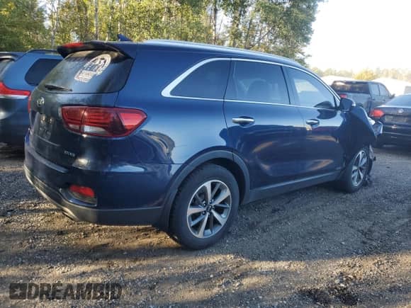 2019 Kia Sorento EX with VIN 5XYPHDA58KG502521, listed as a Copart auction lot 81123685 with 184,640 mi miles and Salvage title. Bid and sale history available at DreamBid. Image 3.