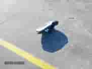 2023 Ford Mustang EcoBoost with VIN 1FATP8UH4P5105411, listed as a IAAI auction lot 41497844 with 44,817 mi miles and . Bid and sale history available at DreamBid. Image 11.