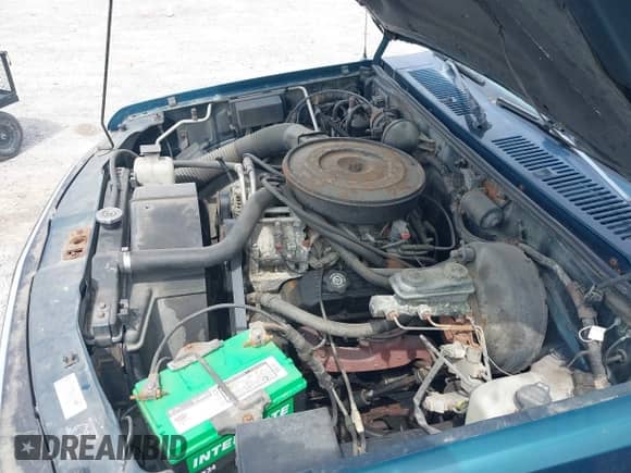 1996 Dodge Dakota with VIN 1B7GL23X2TS583075, listed as a IAAI auction lot 42049233 with 144,020 mi miles and . Bid and sale history available at DreamBid. Image 10.