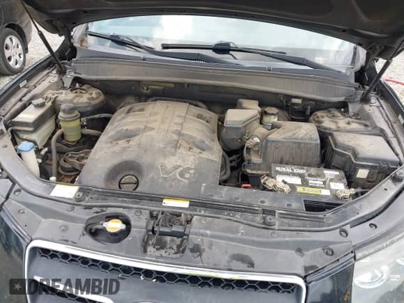 2009 Hyundai Santa Fe SE с VIN 5NMSH13E09H288324, выставлен на аукционе IAAI как лот 42783569 с пробегом 251 737 миль миль и . История ставок и продаж доступна на DreamBid. Изображение 10.