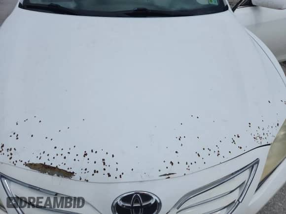 2010 Toyota Camry XLE with VIN 4T1BK3EK5AU602610, listed as a Copart auction lot 85362705 with 223,614 mi miles and Salvage title. Bid and sale history available at DreamBid. Image 11.