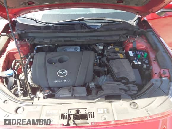 2024 Mazda CX-5 S Preferred с VIN JM3KFBCL1R0442606, выставлен на аукционе IAAI как лот 43142703 с пробегом 19 433 миль миль и . История ставок и продаж доступна на DreamBid. Изображение 10.