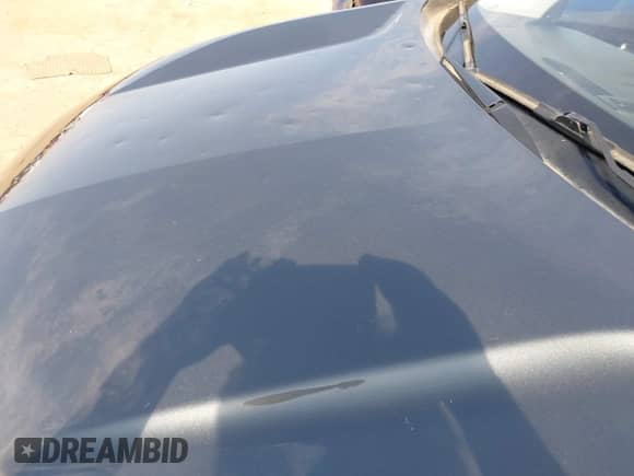 2019 Chevrolet Equinox LT z VIN 2GNAXJEV3K6242809, wystawiony jako IAAI lot #42982788 z przebiegiem 116 919 mil mil oraz . Historia ofert i sprzedaży dostępna na DreamBid. Obrazek 6.