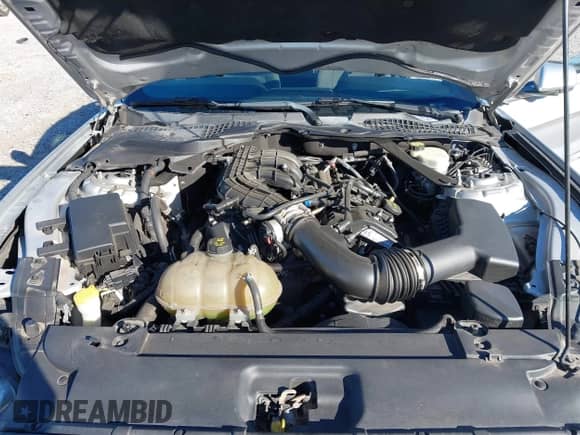 2016 Ford Mustang V6 с VIN 1FATP8EM8G5269529, выставлен на аукционе IAAI как лот 43452496 с пробегом 125 779 миль миль и . История ставок и продаж доступна на DreamBid. Изображение 10.