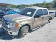 2013 Ford F-150 XLT with VIN 1FTFW1EF0DKE25224, listed as a IAAI auction lot 43214853 with 121,324 mi miles and . Bid and sale history available at DreamBid. Image 2.