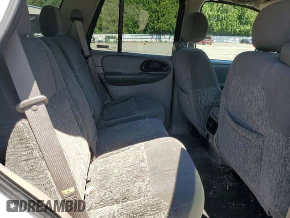 2002 Chevrolet TrailBlazer LTZ z VIN 1GNDT13S722399533, wystawiony jako Copart lot #66754615 z przebiegiem 154 348 mil mil oraz Czysty tytuł • Clean title. Historia ofert i sprzedaży dostępna na DreamBid. Obrazek 11.