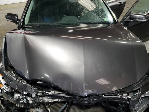 2009 Acura TL с VIN 19UUA86299A005518, выставлен на аукционе Copart как лот 82152565 с пробегом 115 120 миль миль и Списание • Salvage title. История ставок и продаж доступна на DreamBid. Изображение 11.