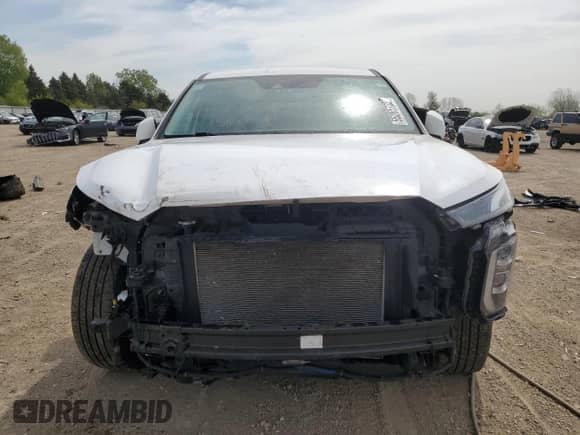2020 Hyundai Palisade SE z VIN KM8R1DHEXLU065619, wystawiony jako Copart lot #55265735 z przebiegiem 74 015 mil mil oraz Szkoda całkowita • Salvage title. Historia ofert i sprzedaży dostępna na DreamBid. Obrazek 5.