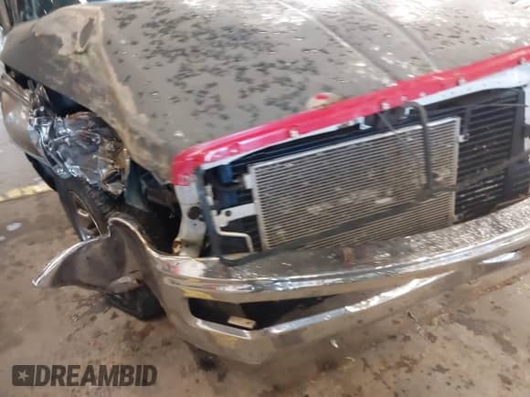 1998 Dodge RAM with VIN 3B7KC22D1WG134449, listed as a IAAI auction lot 41193466 with 388,416 mi miles and . Bid and sale history available at DreamBid. Image 19.