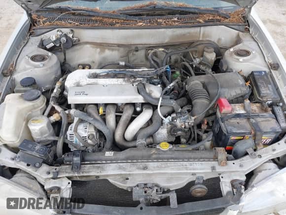 1999 Chevrolet Prizm с VIN 1Y1SK5281XZ427093, выставлен на аукционе IAAI как лот 42251187 с пробегом 265 955 миль миль и . История ставок и продаж доступна на DreamBid. Изображение 10.
