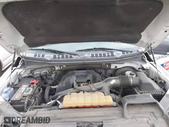 2016 Ford F-150 XL z VIN 1FTEX1CP7GKD78007, wystawiony jako IAAI lot #43429420 z przebiegiem 204 542 mil mil oraz . Historia ofert i sprzedaży dostępna na DreamBid. Obrazek 10.