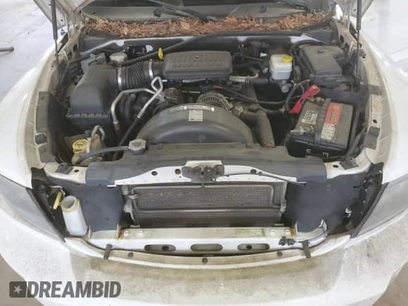 2010 Dodge Dakota z VIN 1D7CE3BK2AS263939, wystawiony jako Copart lot #59358865 z przebiegiem 115 535 mil mil oraz Czysty tytuł • Clean title. Historia ofert i sprzedaży dostępna na DreamBid. Obrazek 11.