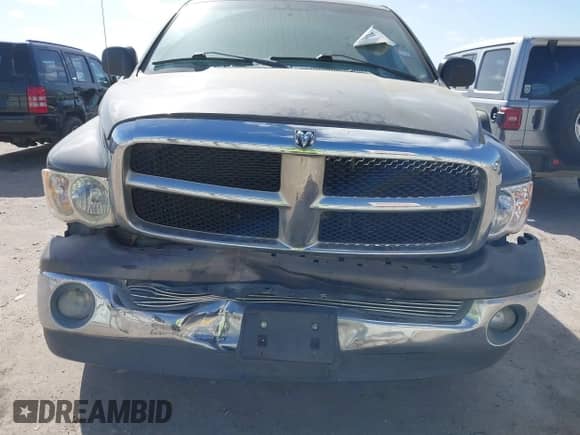 2003 Dodge 1500 ST with VIN 1D7HA16N03J528084, listed as a IAAI auction lot 41820722 with 172,738 mi miles and . Bid and sale history available at DreamBid. Image 6.