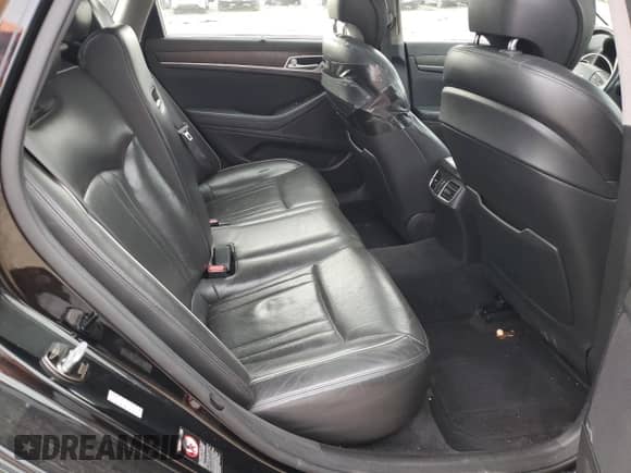 2016 Hyundai Genesis 3.8L with VIN KMHGN4JE8GU111329, listed as a Copart auction lot 80259914 with 325,698 mi miles and Salvage title. Bid and sale history available at DreamBid. Image 10.