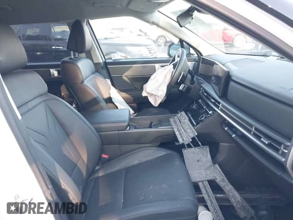 2025 Hyundai Santa Fe SEL with VIN 5NMP24G1XSH017731, listed as a IAAI auction lot 41655301 with Not provided miles and . Bid and sale history available at DreamBid. Image 5.