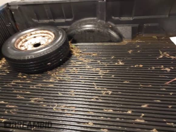 2002 Ford F-150 XL с VIN 2FTRF17W42CA68335, выставлен на аукционе IAAI как лот 42307601 с пробегом 184 138 миль миль и . История ставок и продаж доступна на DreamBid. Изображение 8.