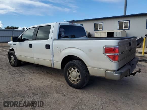 2010 Ford F-150 XL с VIN 1FTEW1CW9AFB40119, выставлен на аукционе Copart как лот 71549555 с пробегом 177 450 миль миль и Списание • Salvage title. История ставок и продаж доступна на DreamBid. Изображение 2.
