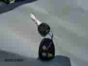 2000 Chevrolet Express Cargo YF7 z VIN 1GBFG15RXY1223806, wystawiony jako IAAI lot #42970685 z przebiegiem 127 934 mil mil oraz . Historia ofert i sprzedaży dostępna na DreamBid. Obrazek 11.