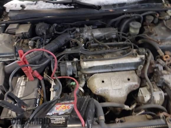 1997 Honda Accord with VIN 1HGCE1720VA005911, listed as a IAAI auction lot 41730124 with 239,883 mi miles and . Bid and sale history available at DreamBid. Image 10.