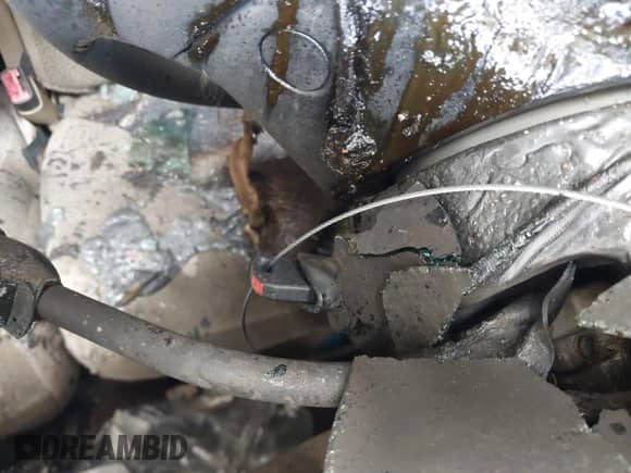 2000 Ford F-150 XL z VIN 1FTRX17W4YNA33505, wystawiony jako IAAI lot #42354938 z przebiegiem Nie podano mil oraz . Historia ofert i sprzedaży dostępna na DreamBid. Obrazek 11.