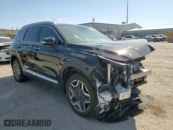 2023 Hyundai Santa Fe Limited с VIN 5NMS5DA17PH018482, выставлен на аукционе Copart как лот 64070155 с пробегом 13 729 миль миль и Списание • Salvage title. История ставок и продаж доступна на DreamBid. Изображение 13.