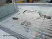 1996 Dodge Dakota SLT z VIN 1B7FL26X6TS672512, wystawiony jako IAAI lot #41975392 z przebiegiem 153 585 mil mil oraz . Historia ofert i sprzedaży dostępna na DreamBid. Obrazek 8.