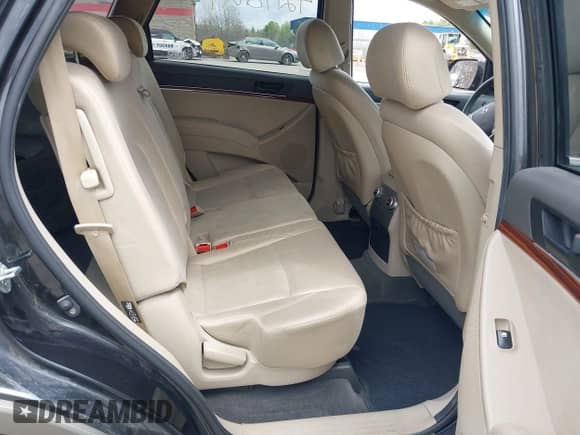 2009 Hyundai Veracruz GLS with VIN KM8NU73C69U079443, listed as a IAAI auction lot 42198124 with 165,597 mi miles and . Bid and sale history available at DreamBid. Image 8.